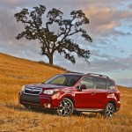 2014_forester 47