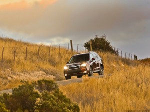 2014_forester 63